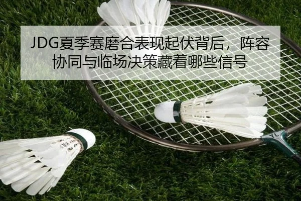 JDG夏季赛磨合表现起伏背后，阵容协同与临场决策藏着哪些信号